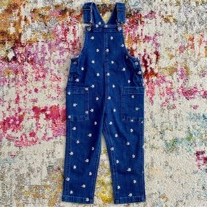 NWOT Hanna Andersson Denim Overalls